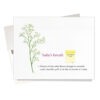 Baby's breath baby congratulations card