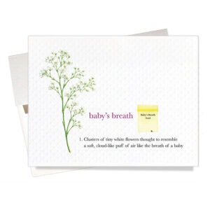 Baby's breath baby congratulations card