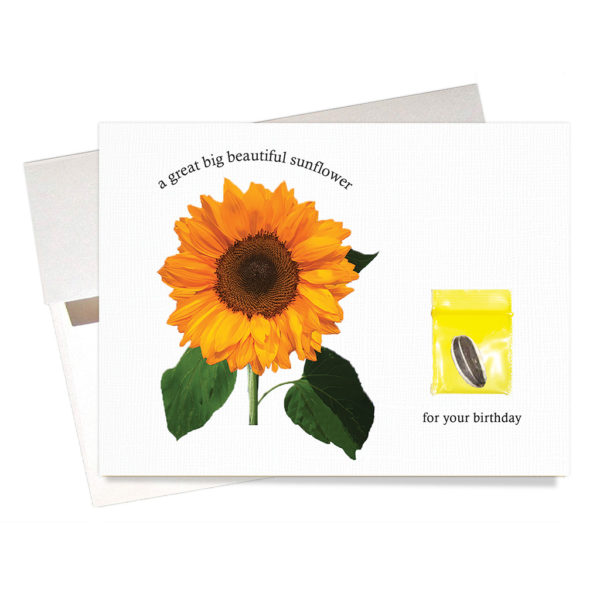 Sunflower seed birthday card