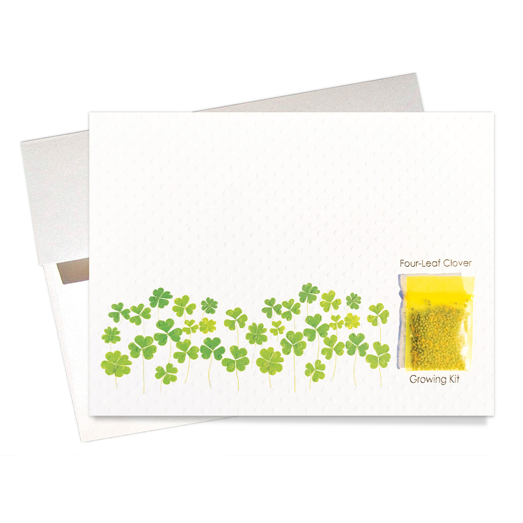 Four leaf clover growing kit - ticklecards.com