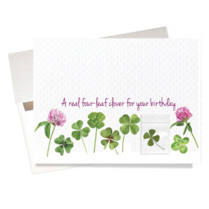 Real four leaf clover birthday card