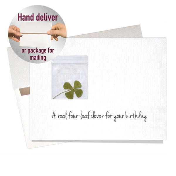 Real four leaf clover birthday card