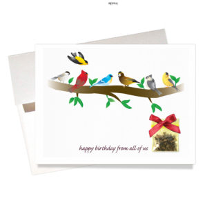 Bird seed gift from all of us birthday card