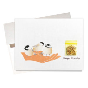 Happy bird day birthday card with bird seeds