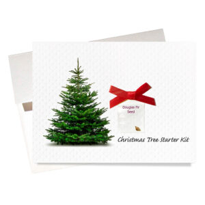 Popular Christmas tree starter kit card features Douglas fir seed