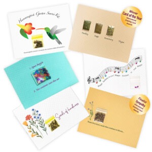 Our bestseller mixed package includes a half dozen bestselling birthday, friendship, thanks and sympathy cards