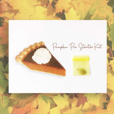Pumpkin Pie Starter Kit Thanksgiving card