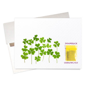 Shamrock Growing Kit St. Patrick's Day card