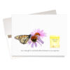 "Butterflies & blooms" birthday card includes a tiny gift of real plantable echinacea flowers to add butterflies & blooms to your garden" and "keep you blooming too!"