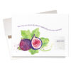 "Give a fig" birthday card includes a plantable fig seed and lovely watercolor figs