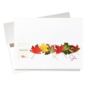 "Like a Maple" Sympathy Card features a real maple seed