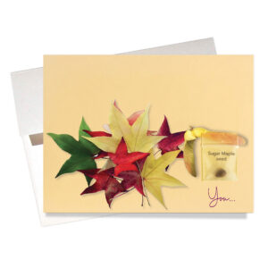 "Sugar Maple" Thinking of You Card features a real sugar maple seedbeside a splash of colorful leaves. Card compares recipient to a sweet, surprising & colorful sugar maple.