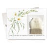 FE-0718 Chamomile tea friendship & encouragement card